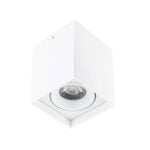 Opbouw spot enkel wit BARI